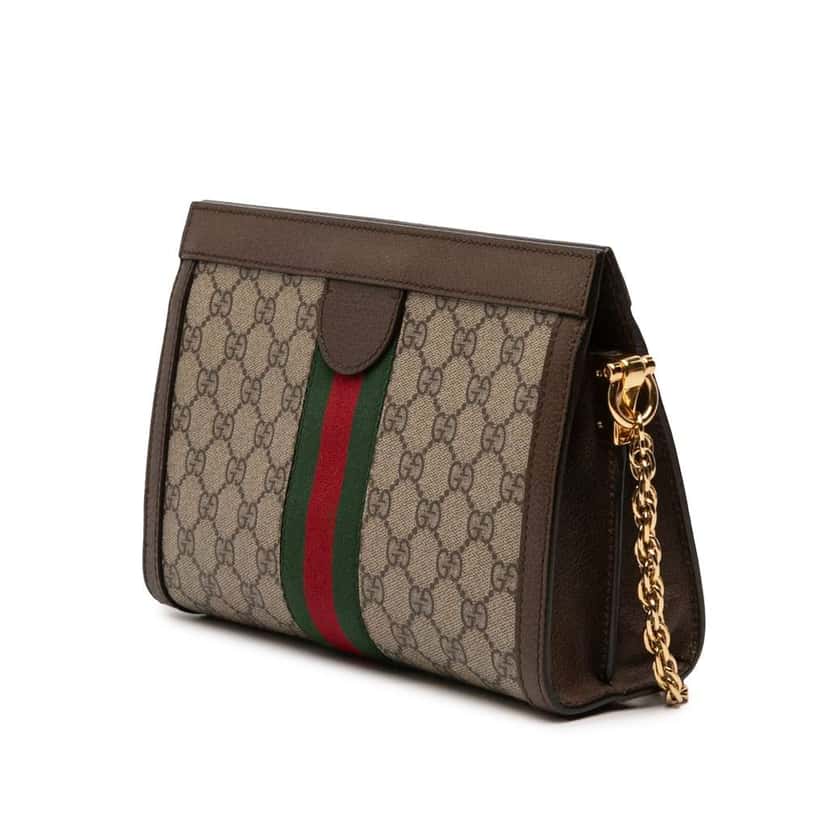 Gucci Small GG Supreme Web Ophidia Chain Crossbody Brown Canvas Good condition - Back View