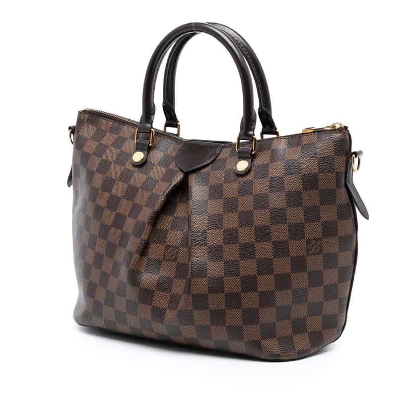 Louis Vuitton Damier Ebene Siena MM Brown Good condition - Back View