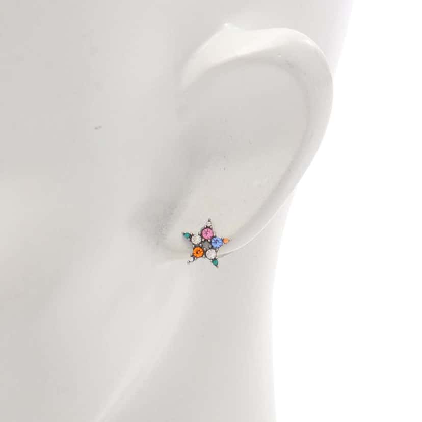 Dior Stainless Steel Multicolor Rhinestone Star and CD Logo Earrings Silver Stainless steel Good condition - Box View