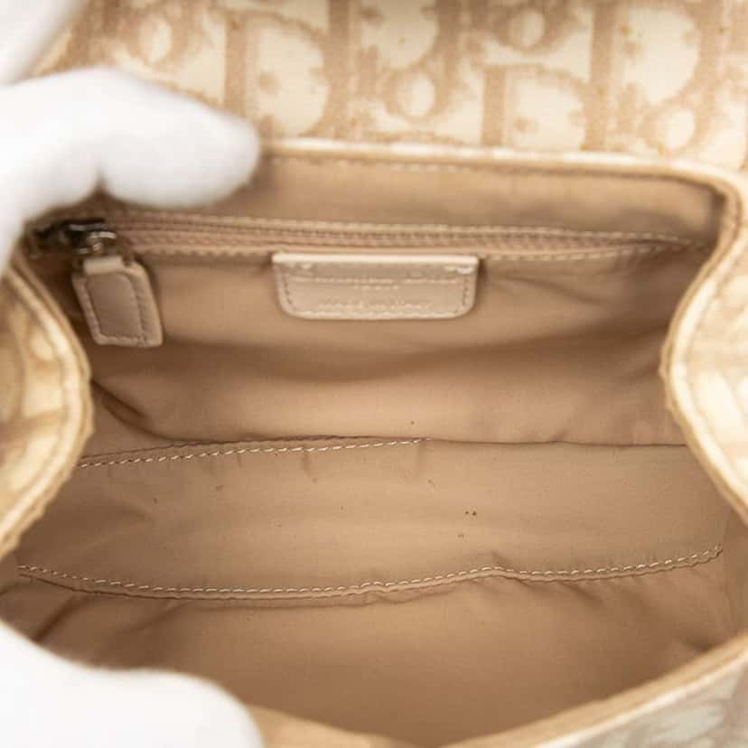 Dior Mini Diorissimo Trotter Coated Canvas Romantique Handbag Brown Canvas Good condition - Model View