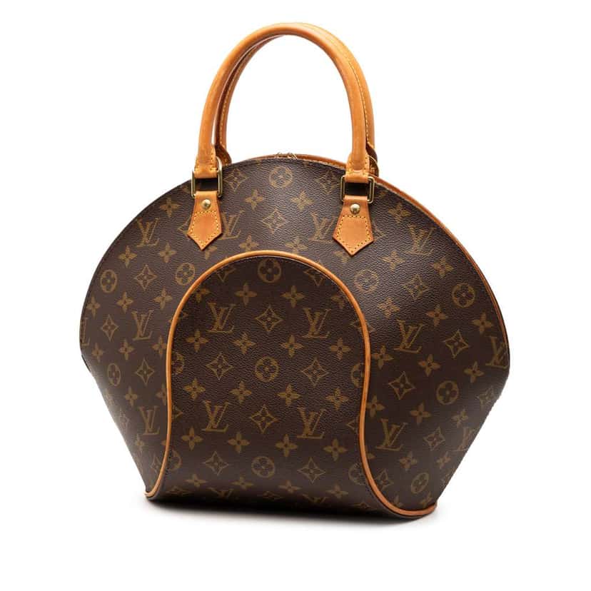 Louis Vuitton Monogram Ellipse MM Brown Good condition - Back View