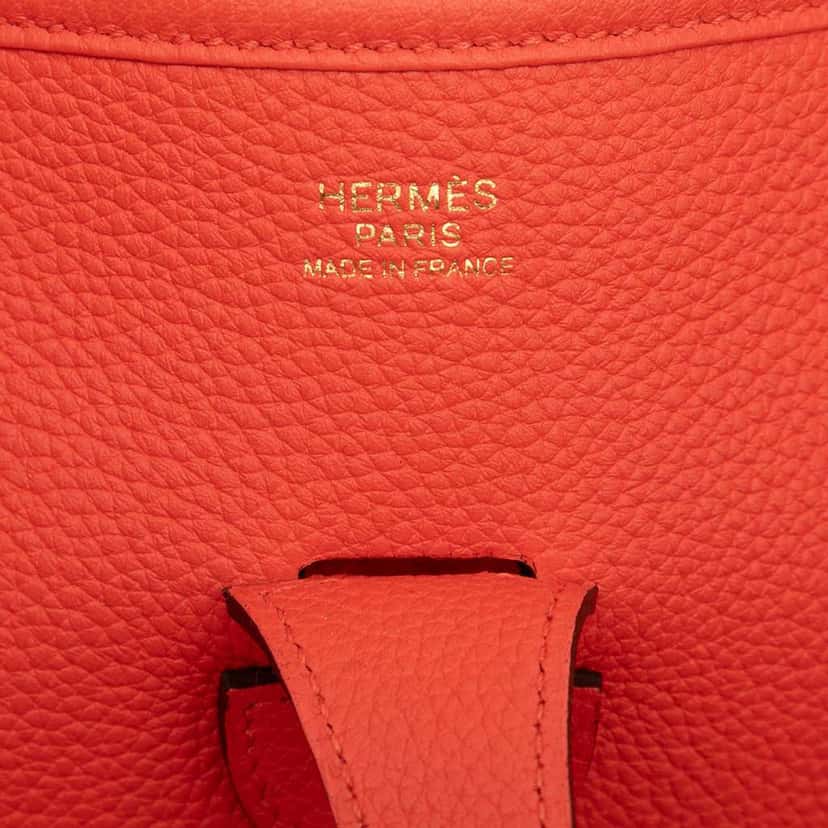 Hermès Clemence Evelyne III 29 Orange Leather Good condition - Box View