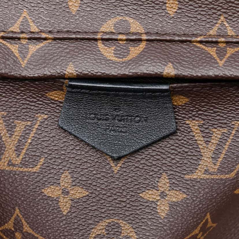 Louis Vuitton Monogram Palm Springs MM Brown Good condition - Box View