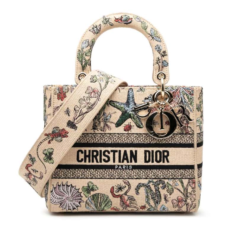 Dior Medium Embroidered Canvas Lady D Lite Brown Canvas Good condition - Front View
