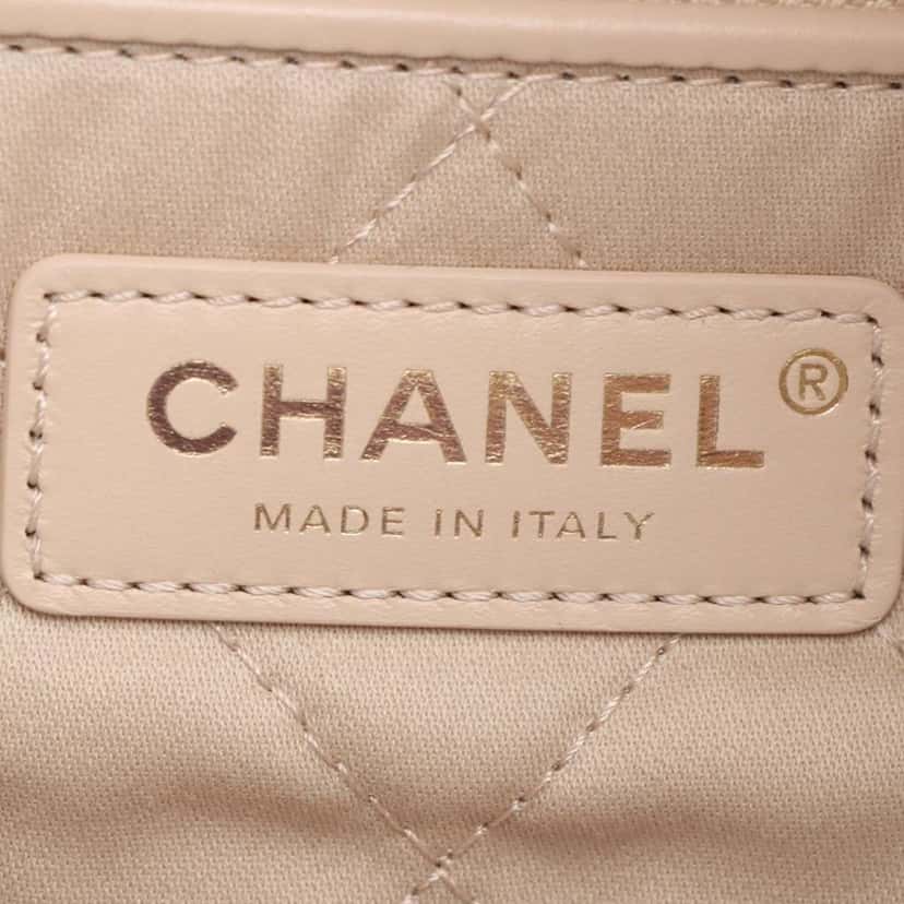 Chanel Large Shiny Calfskin 22 Hobo White Leather Good condition - Model View