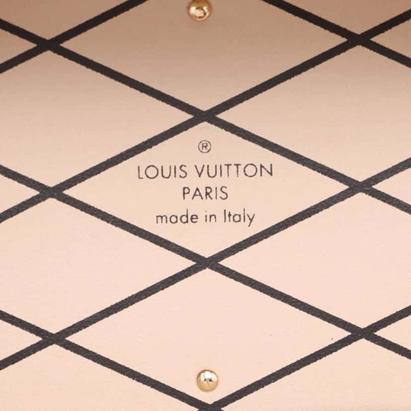 Louis Vuitton Monogram Camera Box Colonne Brown Good condition - Model View