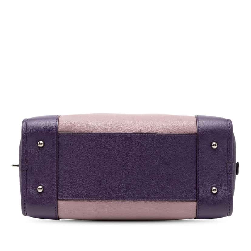 Loewe Tricolor Goatskin Amazona 28 Purple Leather Good condition - Inside View