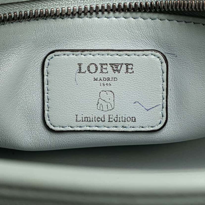 Loewe Limited Edition Leather Amazona 28 Blue Leather Good condition - Box View