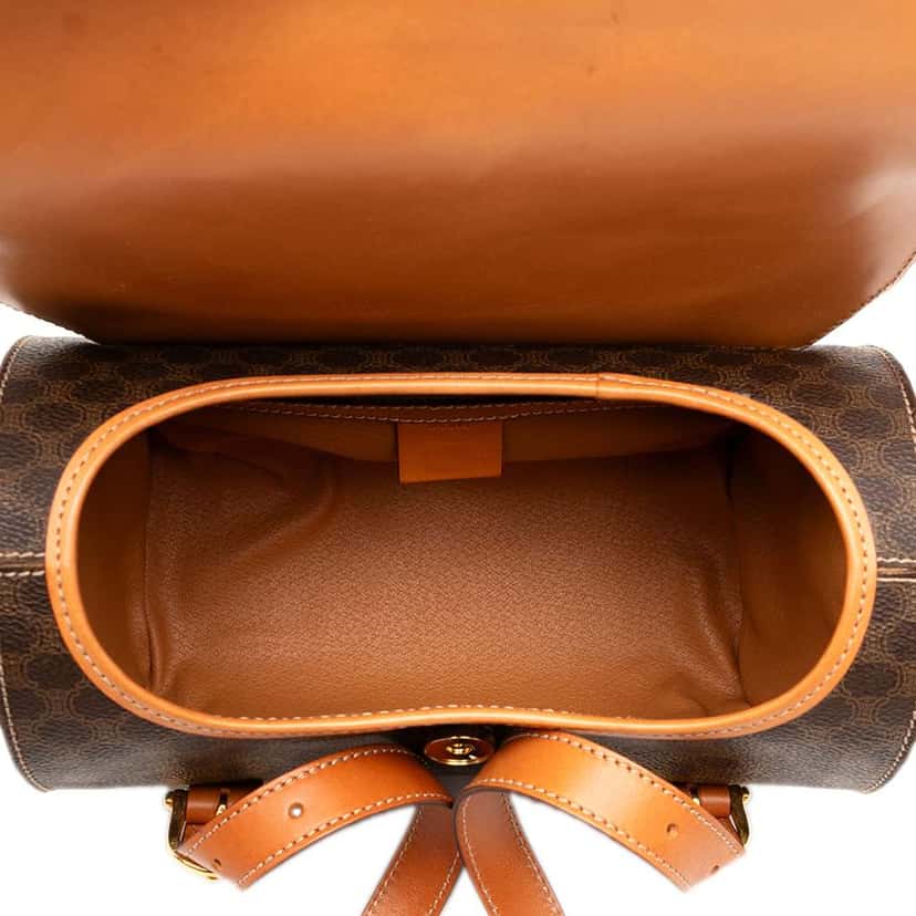 Celine Macadam Coated Canvas Triomphe Blason Handbag Brown Canvas Good condition - Model View