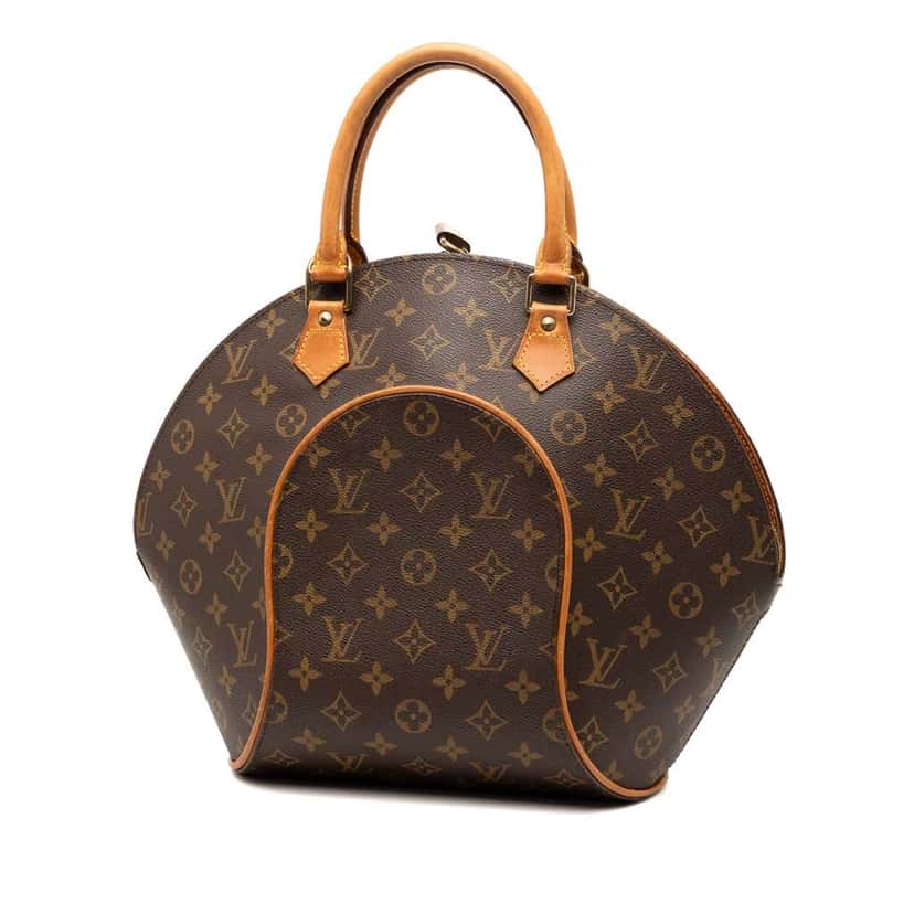 Louis Vuitton Monogram Ellipse MM Brown Good condition - Back View