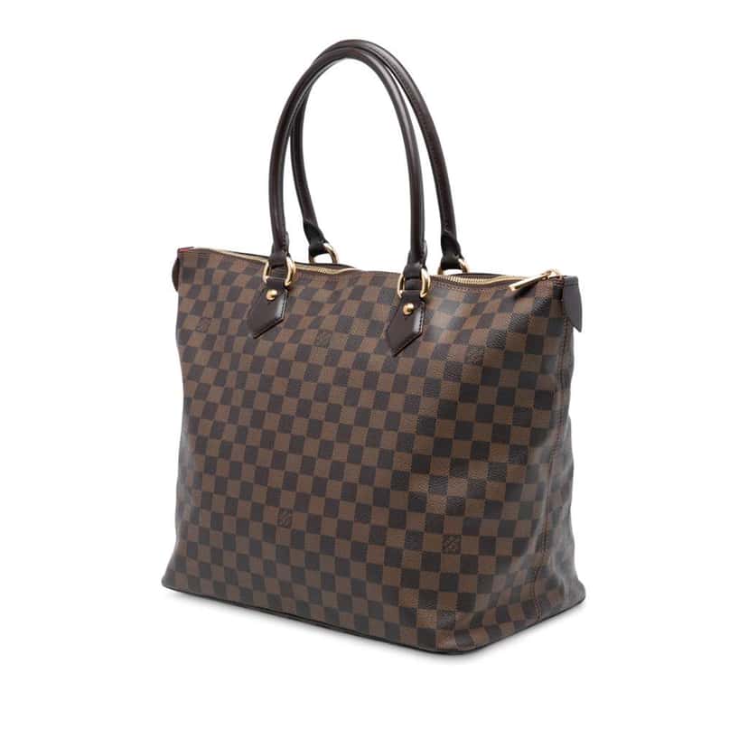 Louis Vuitton Damier Ebene Saleya GM Brown Good condition - Back View