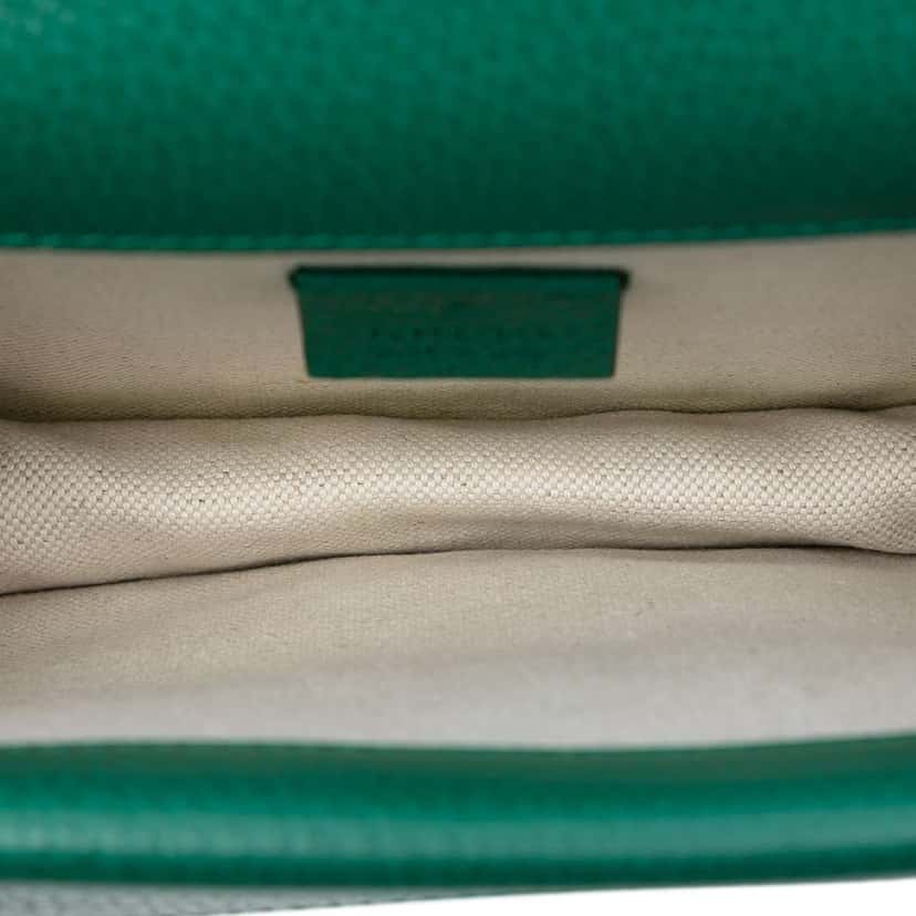 Gucci Small Leather Dionysus Crossbody Green Leather Very good condition - Model View