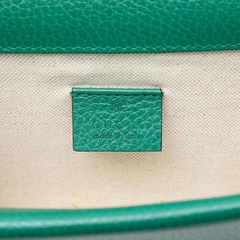 Gucci Small Leather Dionysus Crossbody Green Leather Very good condition - Box View