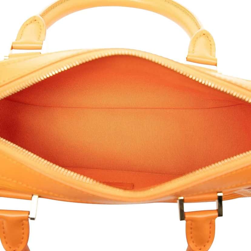 Louis Vuitton Epi Dhanura PM Orange Leather Good condition - Model View
