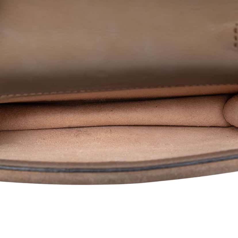 Gucci Mini GG Supreme Dionysus Crossbody Brown Canvas Very good condition - Model View