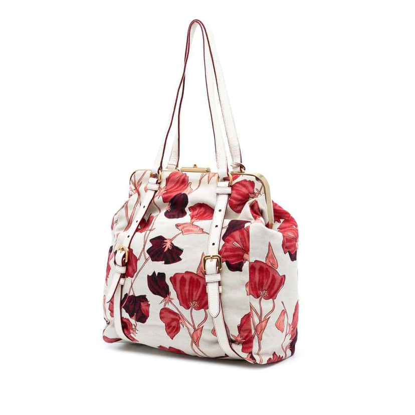 Prada Vitello Daino Trimmed Canapa Stampato Frame Tote Brown Canvas Good condition - Back View