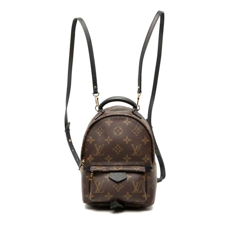 Louis Vuitton Monogram Mini Palm Springs Brown Good condition - Front View