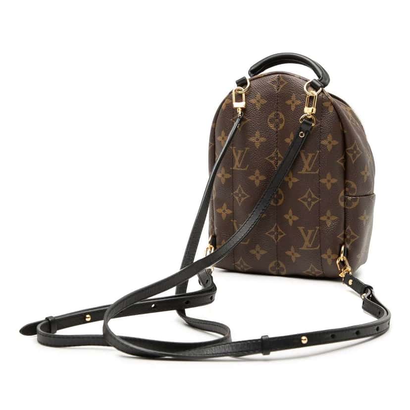 Louis Vuitton Monogram Mini Palm Springs Brown Good condition - Back View
