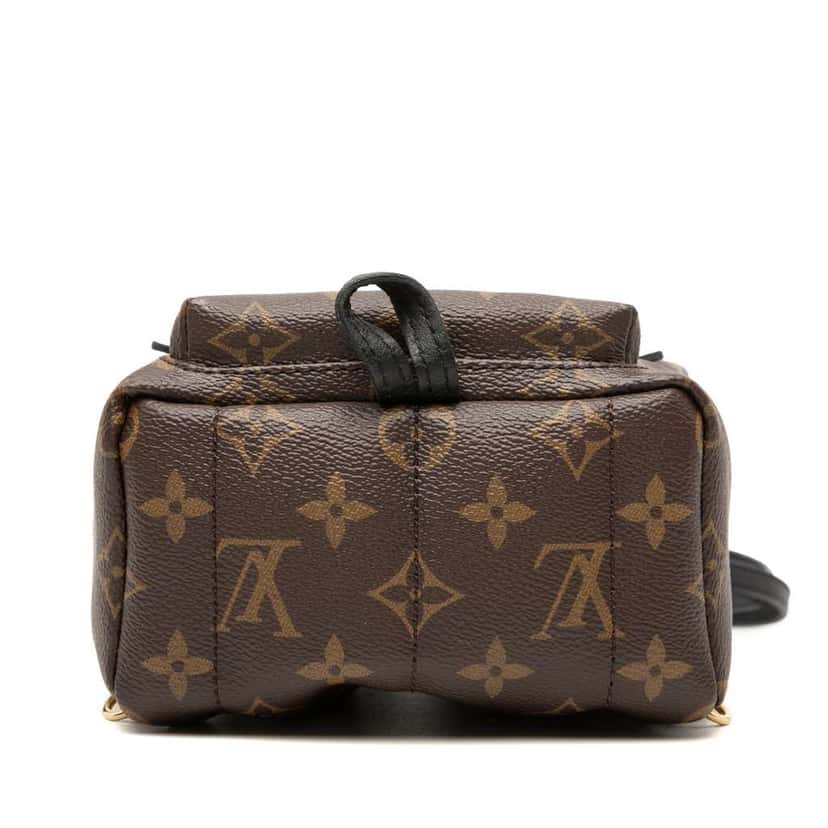 Louis Vuitton Monogram Mini Palm Springs Brown Good condition - Inside View