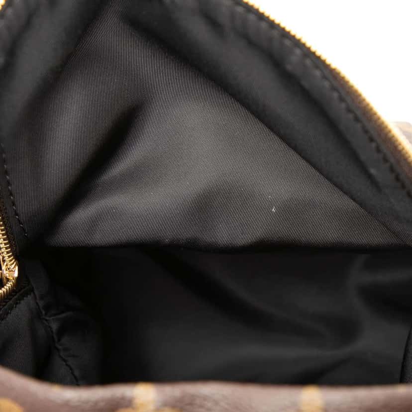 Louis Vuitton Monogram Mini Palm Springs Brown Good condition - Model View