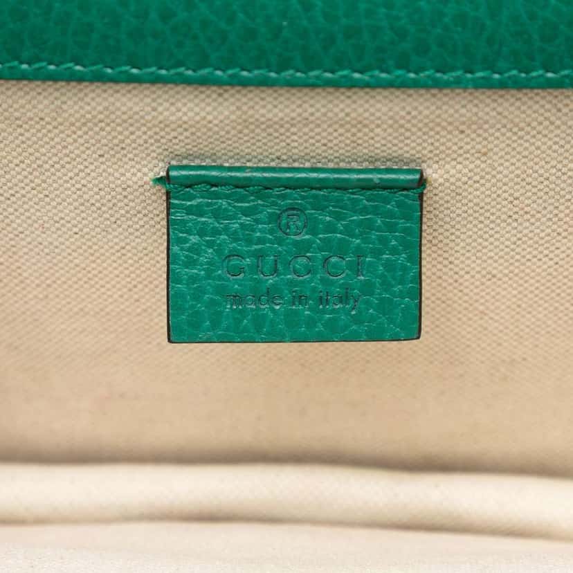Gucci Small Leather Dionysus Crossbody Green Leather Good condition - Box View