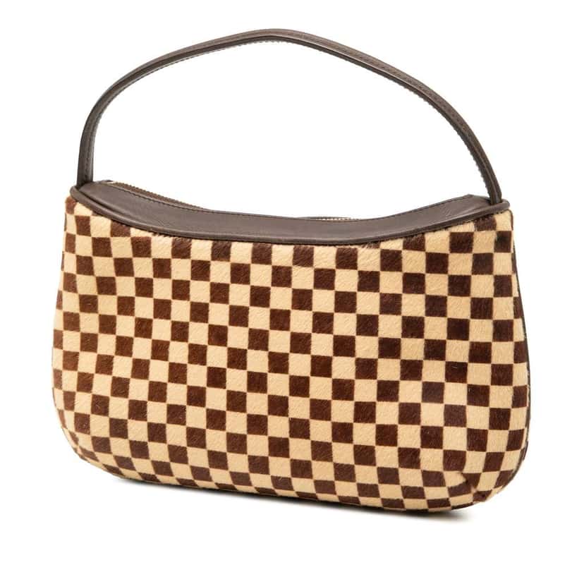 Louis Vuitton Damier Sauvage Tigre Brown Good condition - Back View