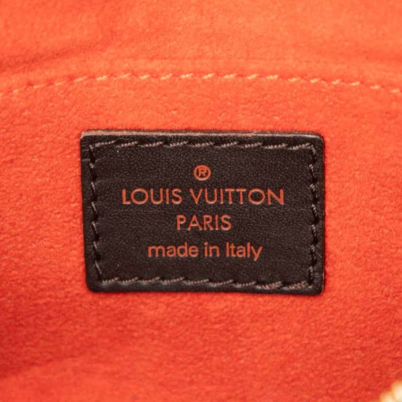 Louis Vuitton Damier Sauvage Tigre Brown Good condition - Box View