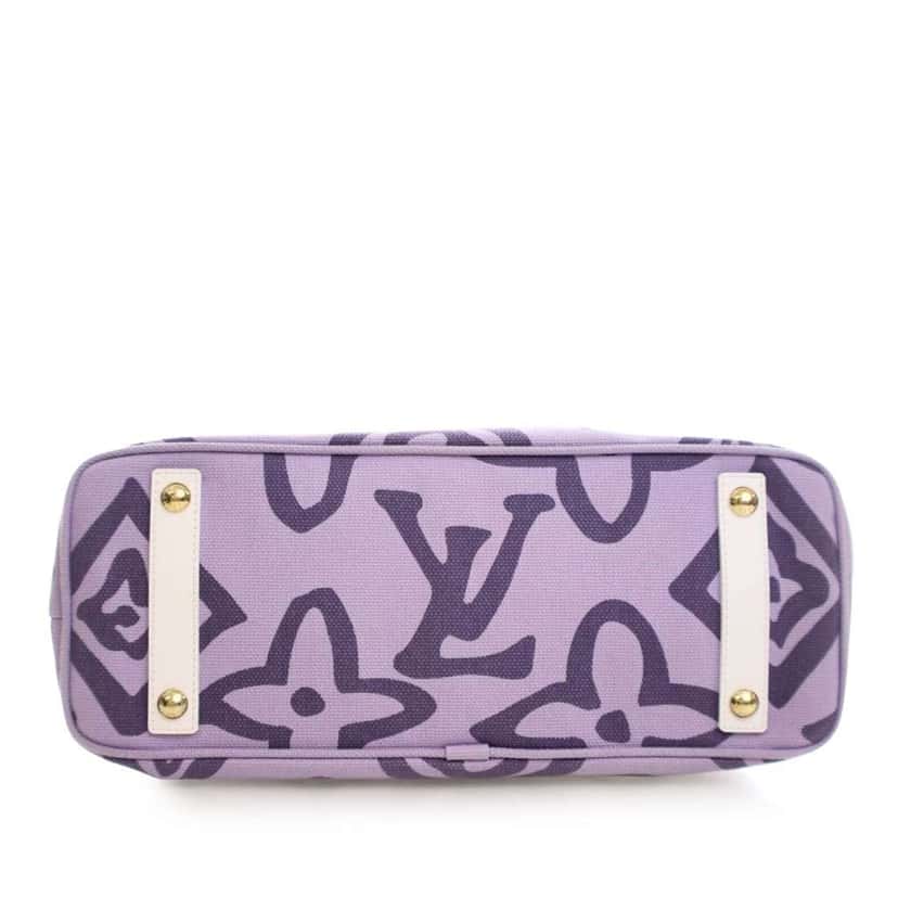 Louis Vuitton Monogram Tahitienne Cabas PM Purple Canvas Good condition - Box View