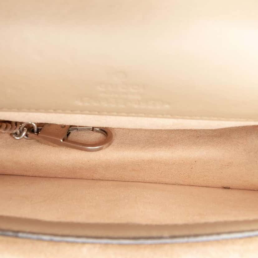 Gucci Mini GG Supreme Dionysus Crossbody Brown Canvas Good condition - Model View