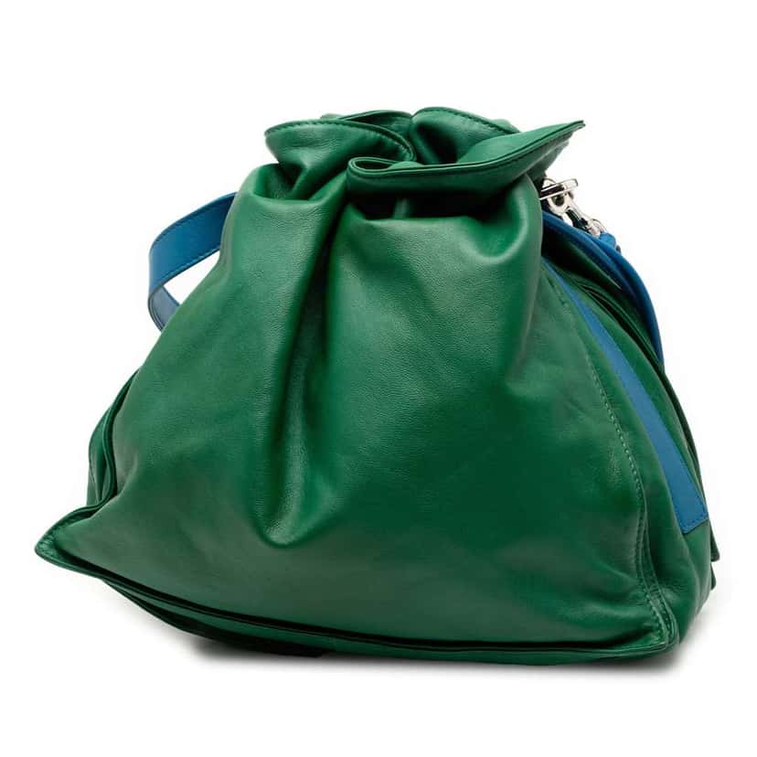 Loewe Bicolor Nappa Flamenco Tassel 30 Crossbody Green Leather Very good condition - Back View