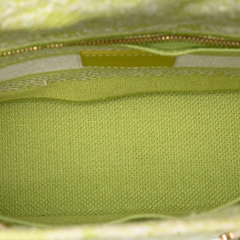 Dior Medium Embroidered Canvas Toile de Jouy Lady D Lite Green Canvas Very good condition - Model View