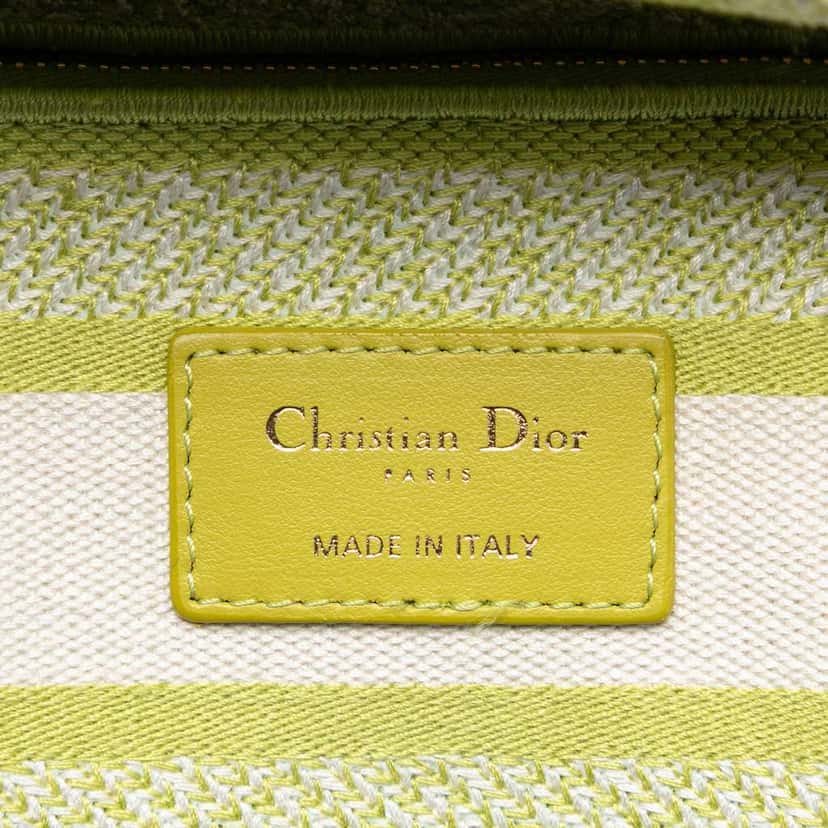 Dior Medium Embroidered Canvas Toile de Jouy Lady D Lite Green Canvas Very good condition - Box View