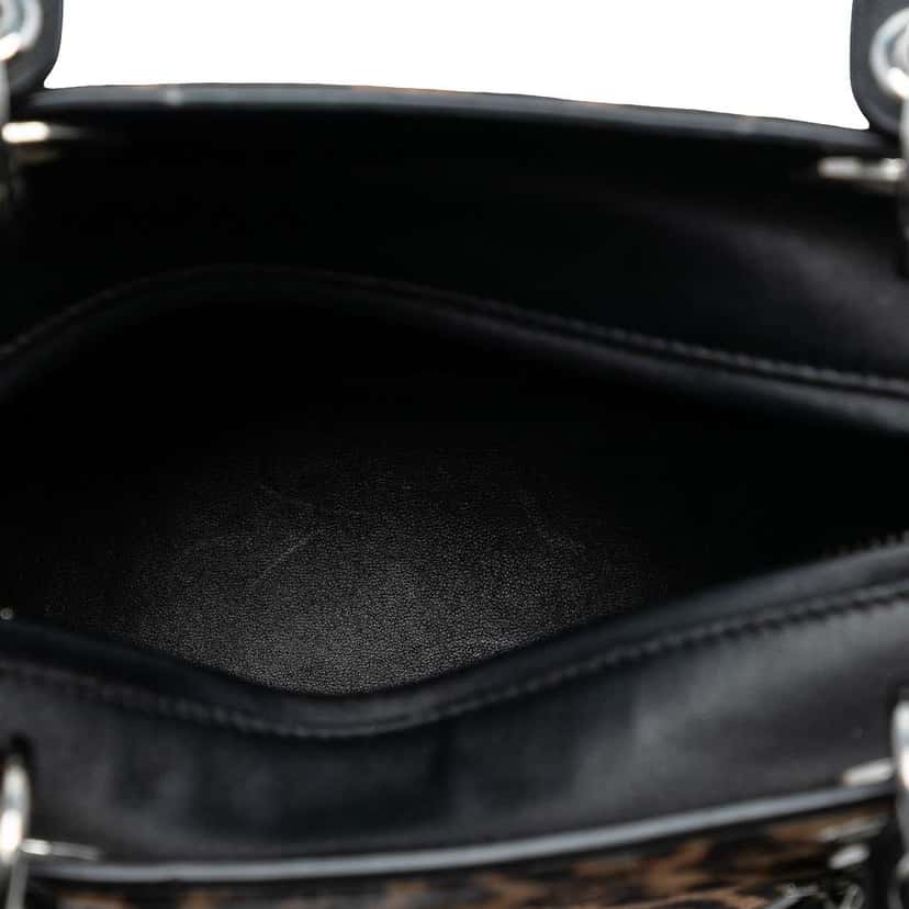 Dior Medium Pony Hair Leopard Print Lady Dior Brown Good condition - Model View