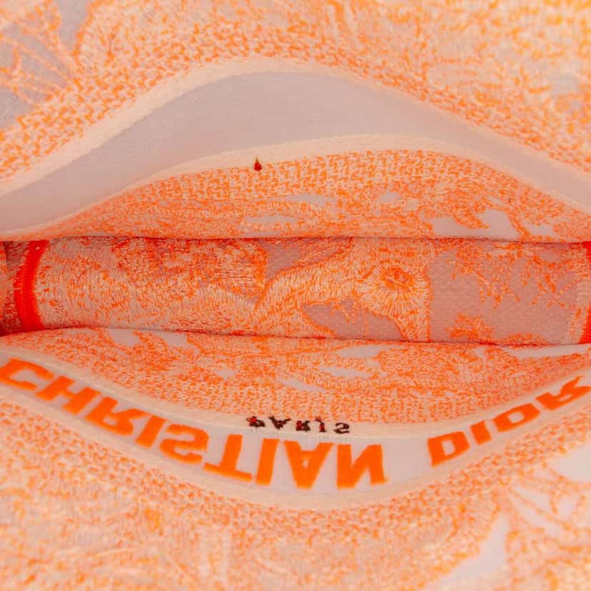 Dior Mini Canvas Embroidered Dioriviera Toile De Jouy Book Tote Orange Canvas Very good condition - Model View