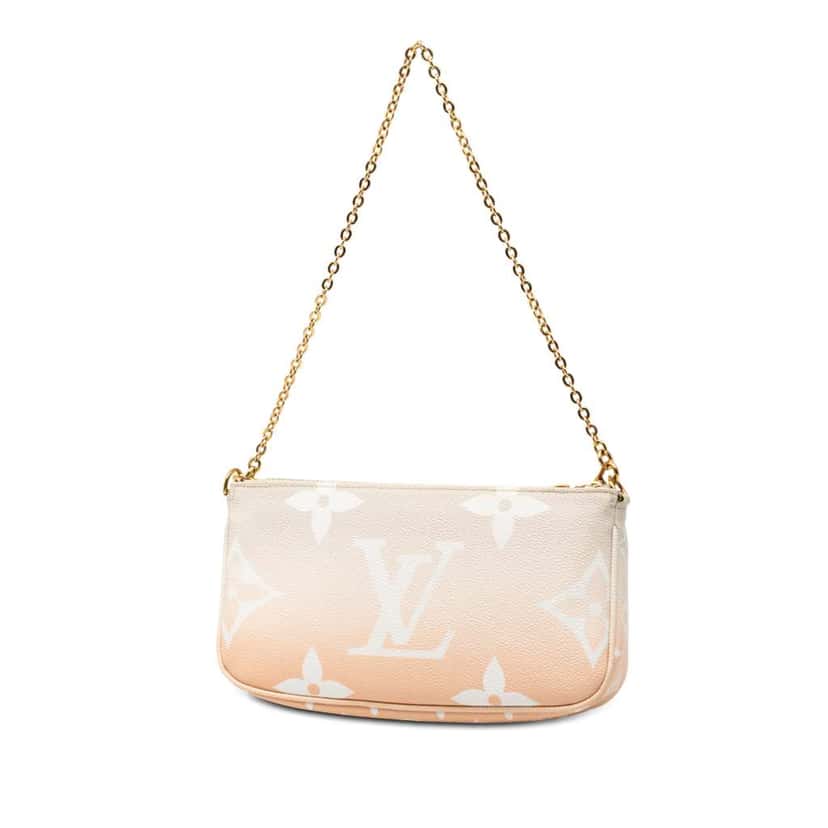 Louis Vuitton Monogram Giant By The Pool Multi Pochette Accessoires Brown Very good condition - Back View