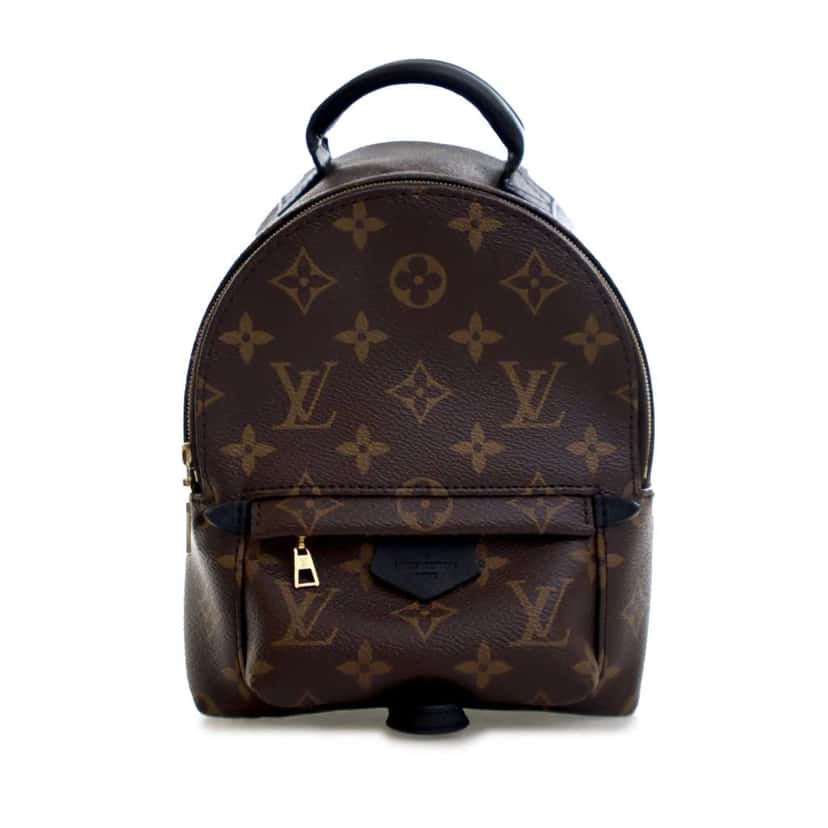 Louis Vuitton Monogram Mini Palm Springs Brown Good condition - Front View