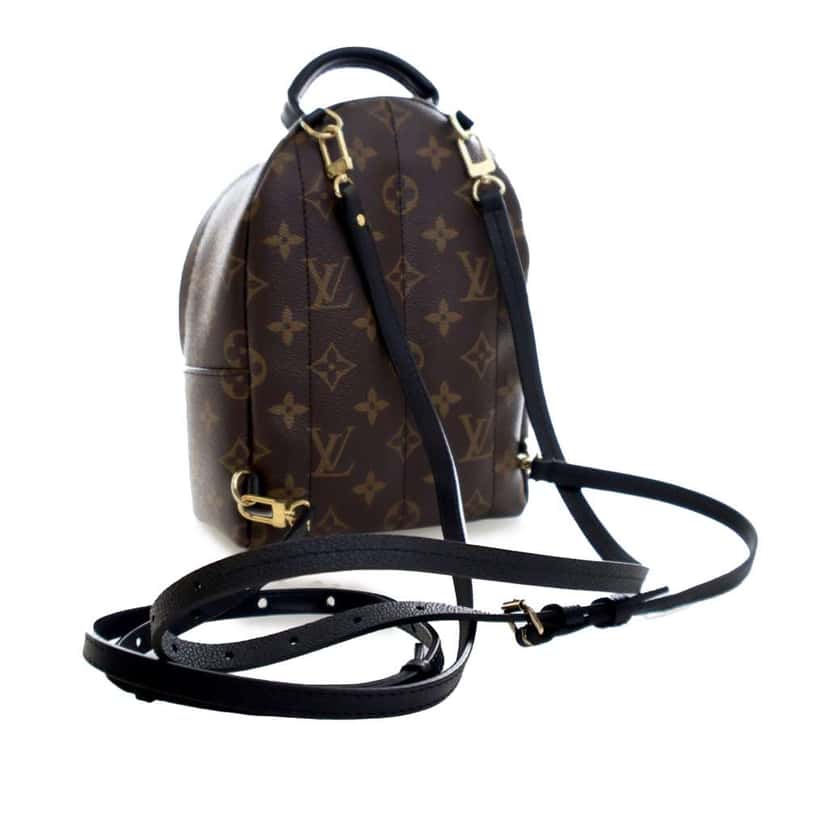 Louis Vuitton Monogram Mini Palm Springs Brown Good condition - Back View