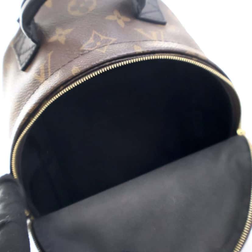 Louis Vuitton Monogram Mini Palm Springs Brown Good condition - Model View