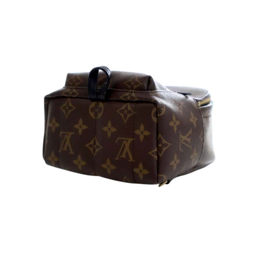 Louis Vuitton Monogram Mini Palm Springs Brown Good condition - Box View
