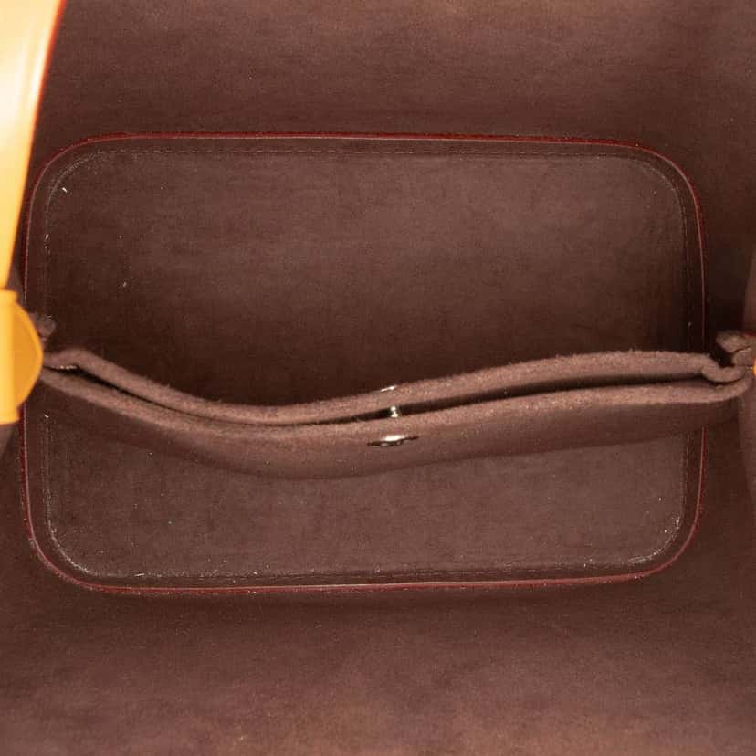 Louis Vuitton Epi Neonoe BB Brown Leather Good condition - Model View