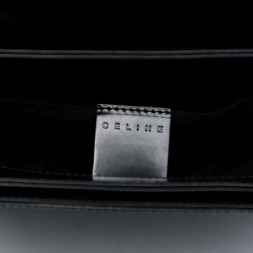 Celine Leather Trimmed Pony Hair Acrylic Top Handle Bag Black Good condition - Box View