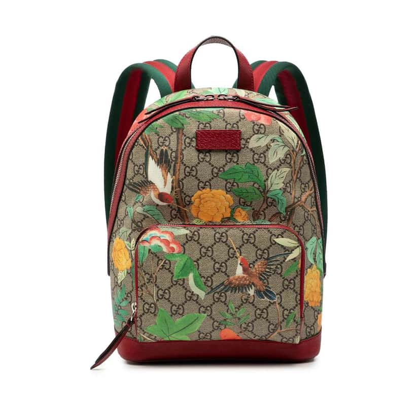Gucci Small GG Supreme Web Tian Backpack Brown Canvas Good condition - Front View