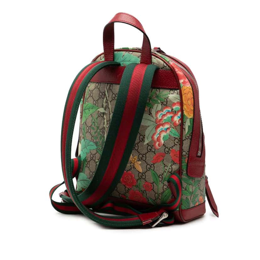 Gucci Small GG Supreme Web Tian Backpack Brown Canvas Good condition - Back View