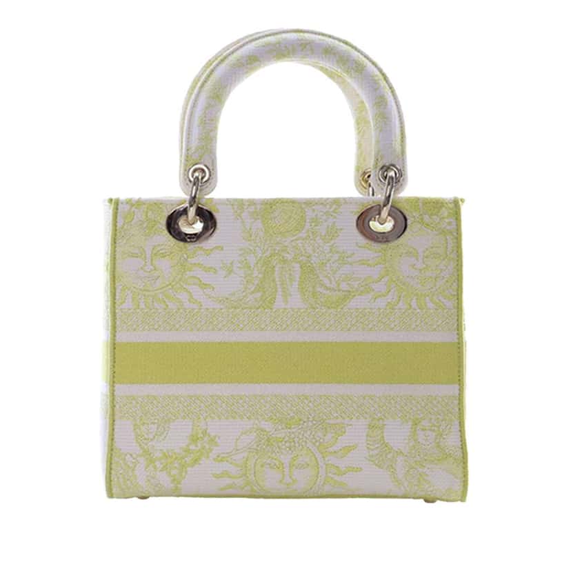 Dior Medium Embroidered Canvas Toile de Jouy Soleil Lady D Lite Yellow Canvas Good condition - Model View