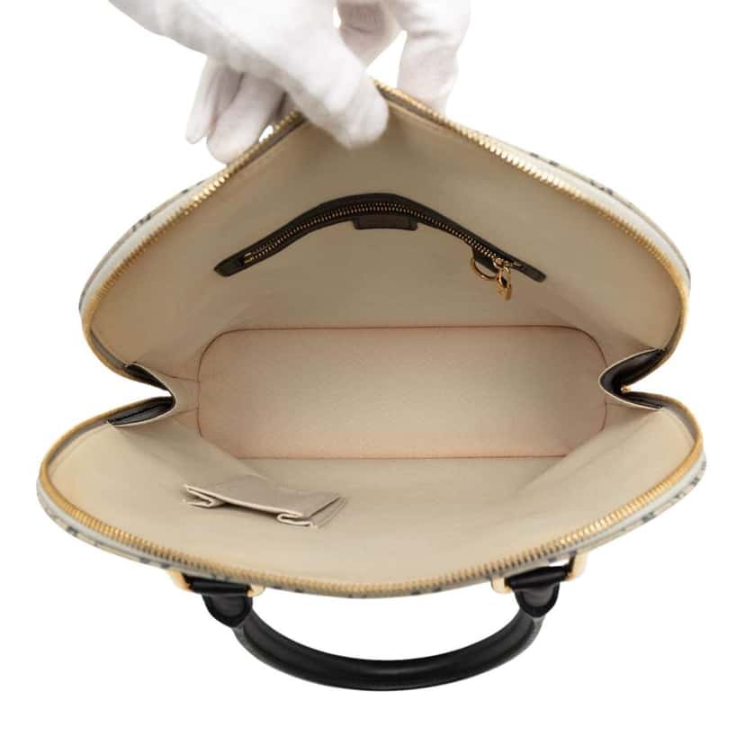 Louis Vuitton Monogram Mini Lin Alma Haut Grey Canvas Good condition - Model View