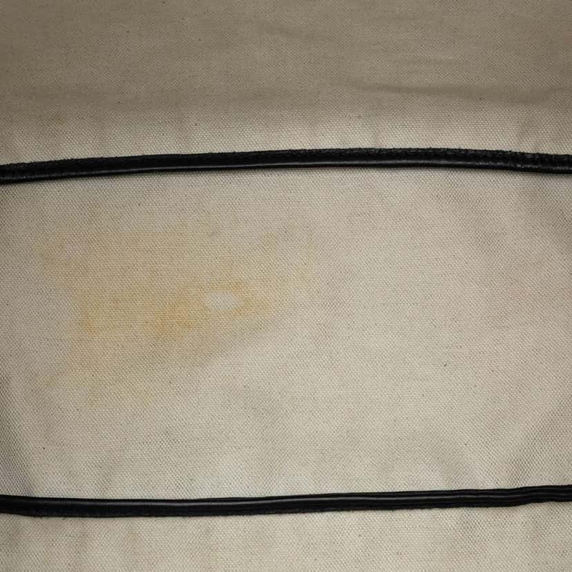 Goyard Goyardine Saint Louis PM Black Canvas Very good condition - Model View