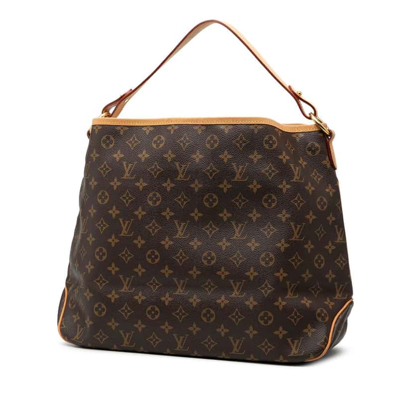 Louis Vuitton Monogram Delightful MM Brown Good condition - Back View