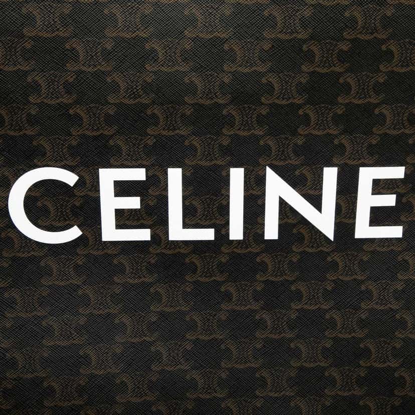 Celine Medium Triomphe Coated Canvas Vertical Cabas Tote Brown Canvas Very good condition - Box View