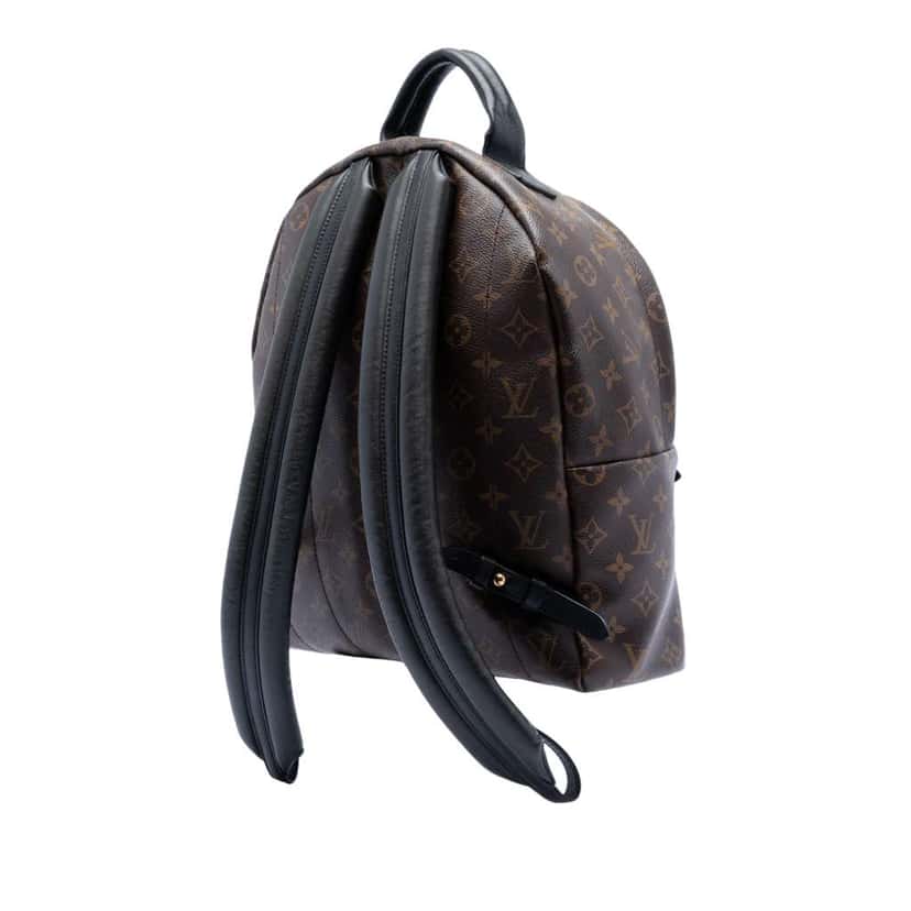 Louis Vuitton Monogram Palm Springs MM Brown Very good condition - Back View