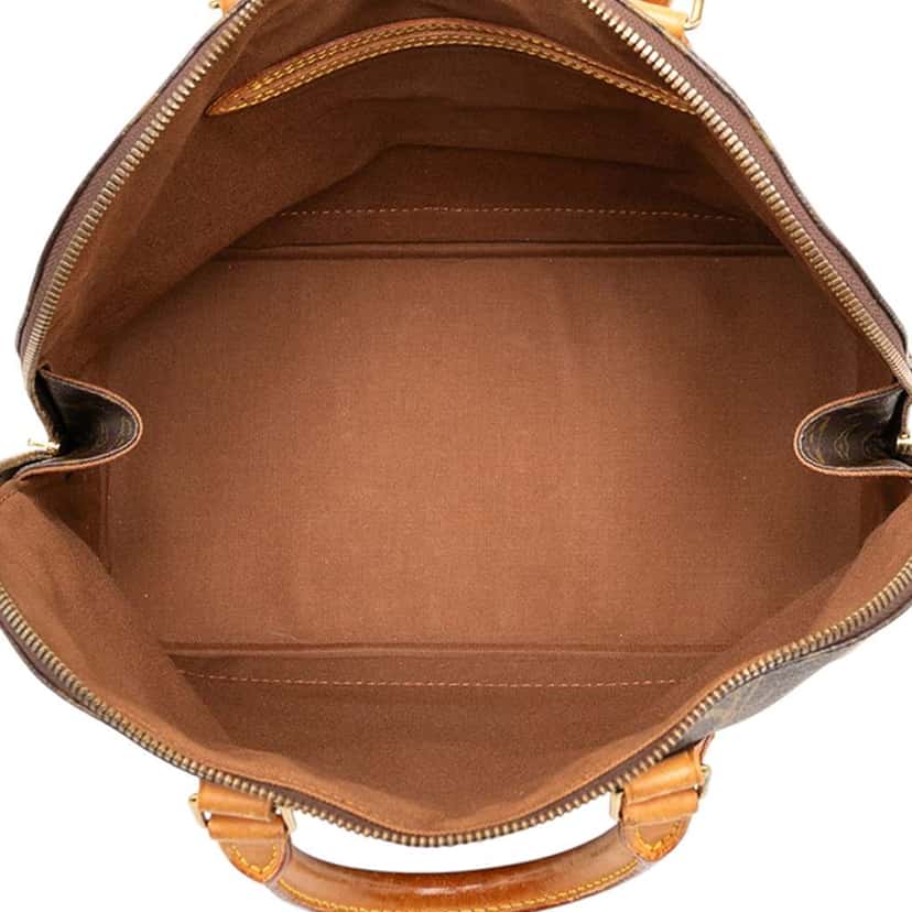 Louis Vuitton Monogram Alma PM Brown Good condition - Model View